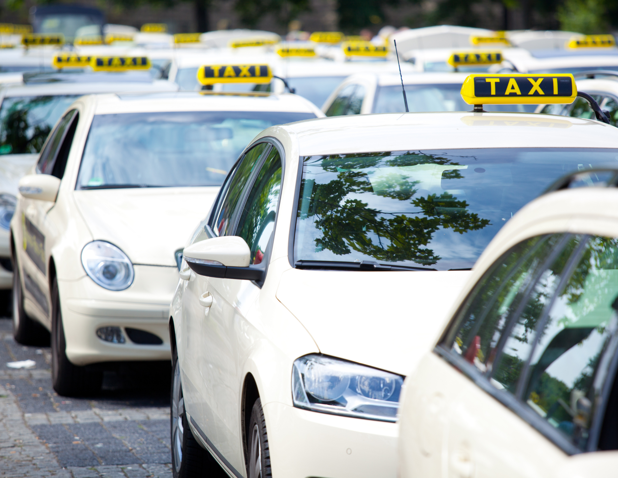 Emerging Trends in Taxi Passenger Demographics